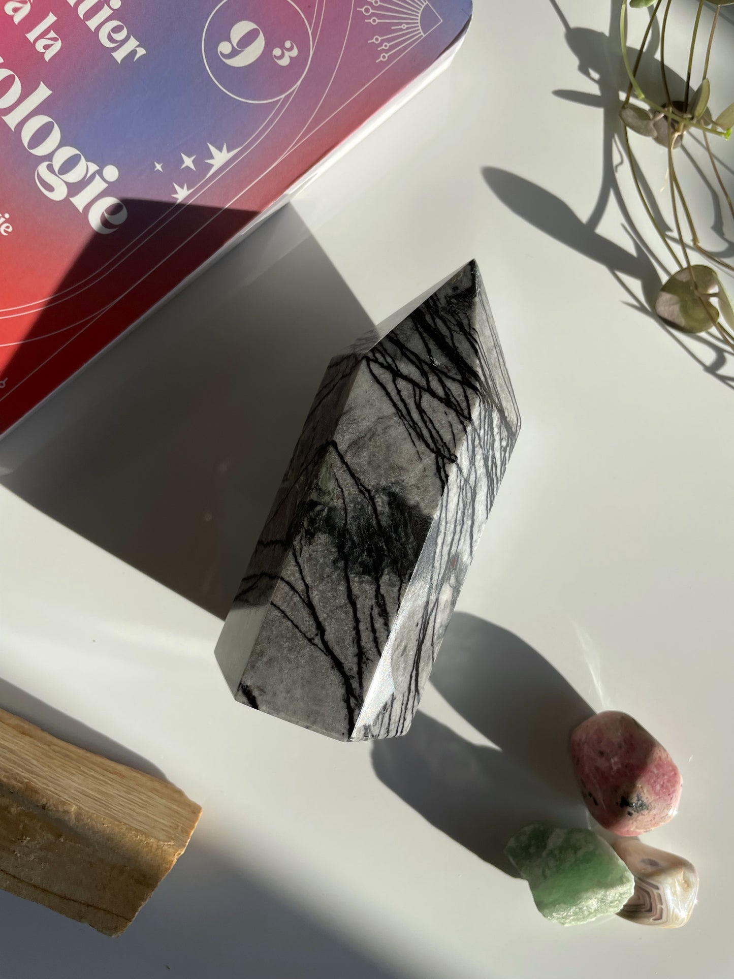 Spinnennetz Jaspis Turm