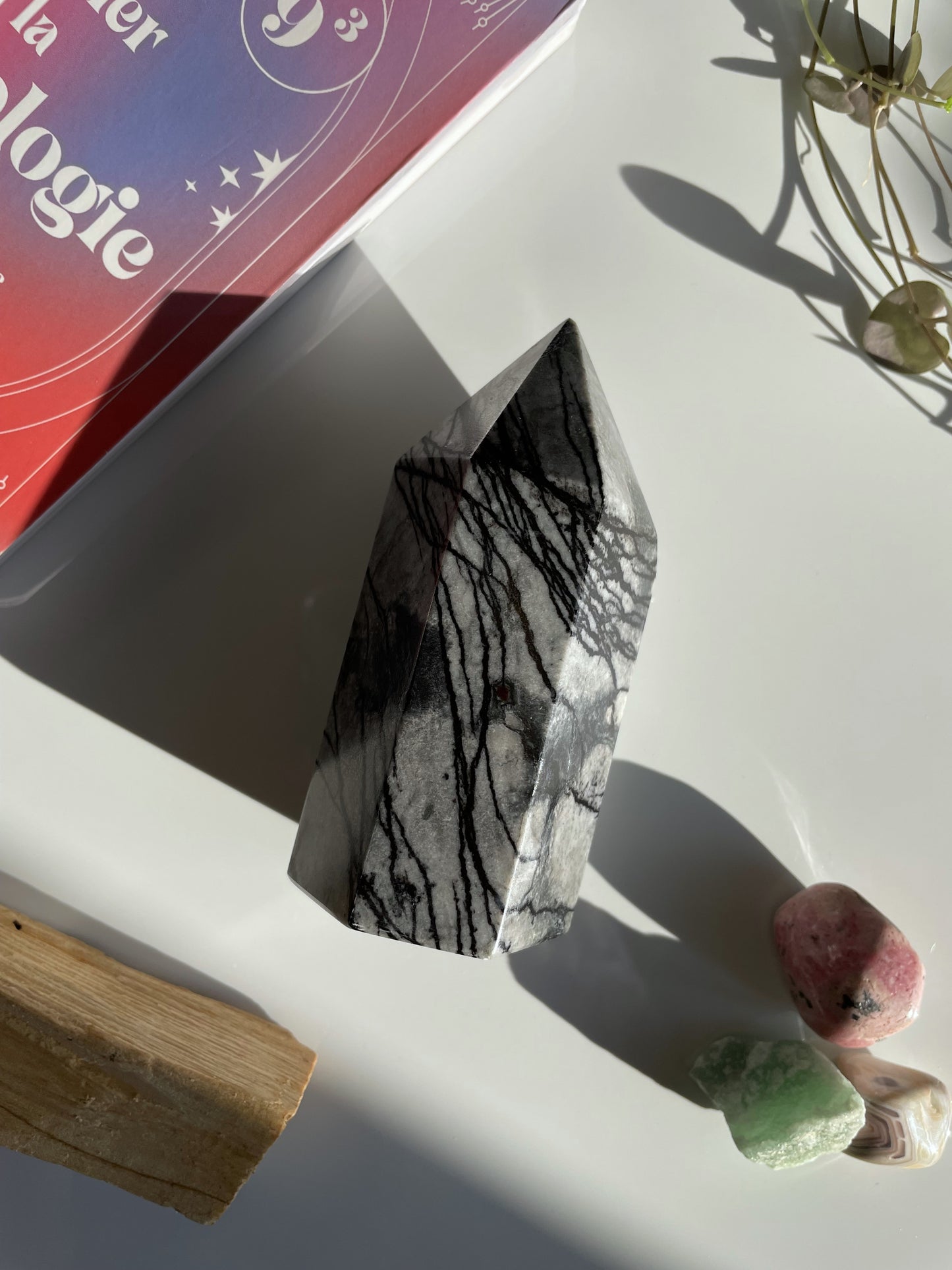 Spinnennetz Jaspis Turm