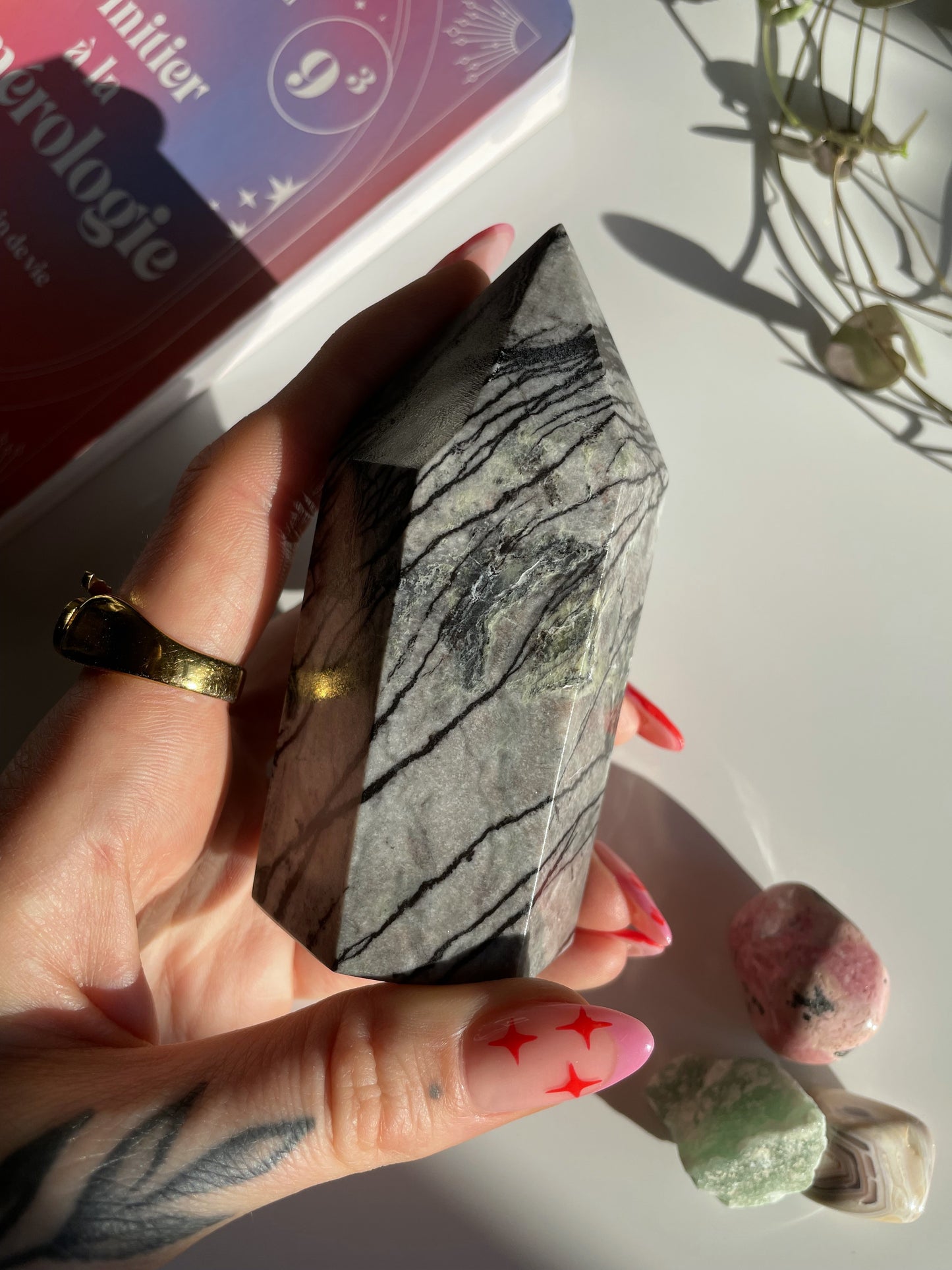 Spinnennetz Jaspis Turm