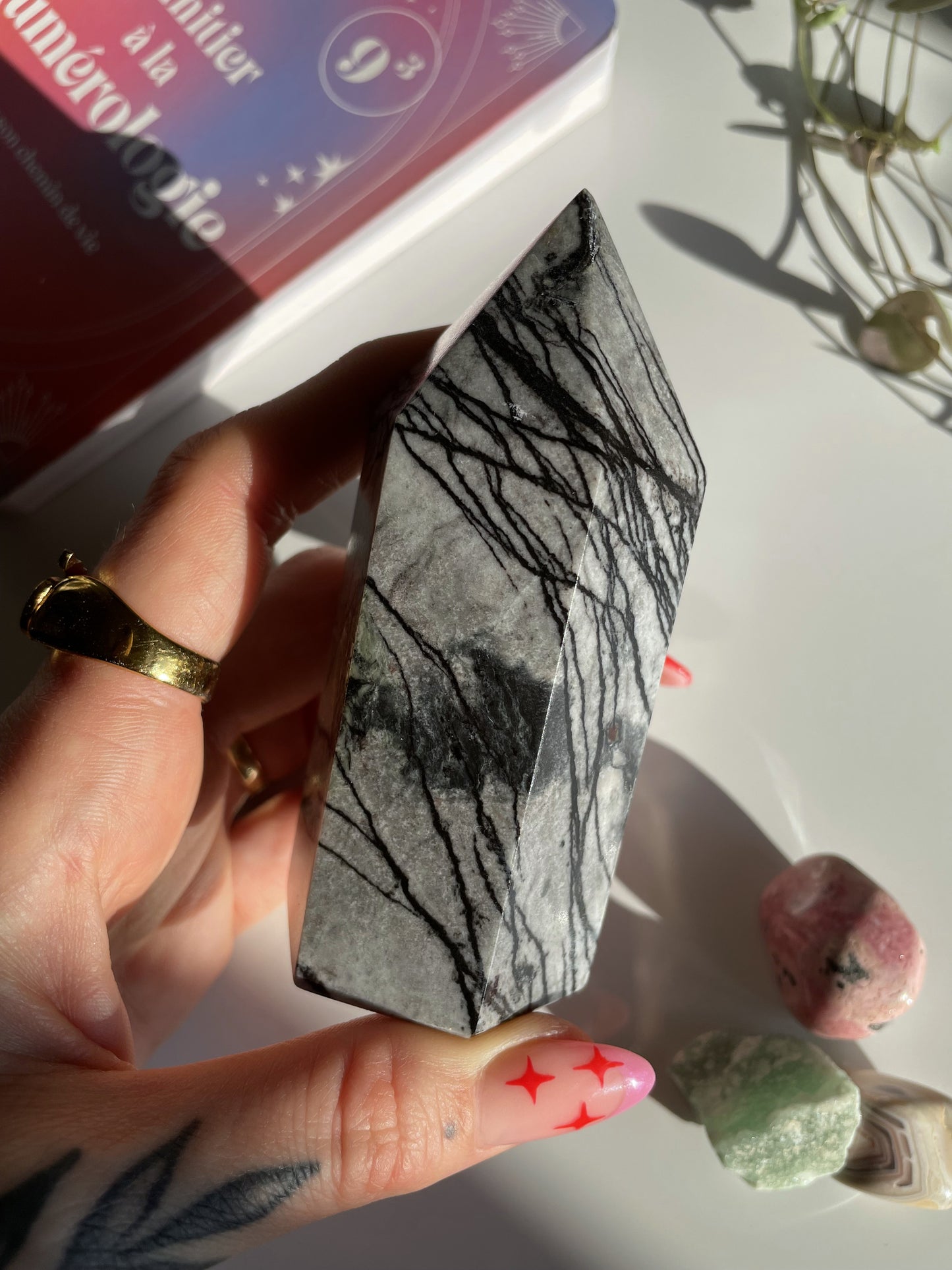 Spinnennetz Jaspis Turm