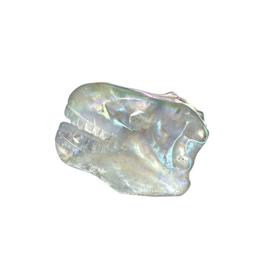 T-Rex Carving Angel Aura