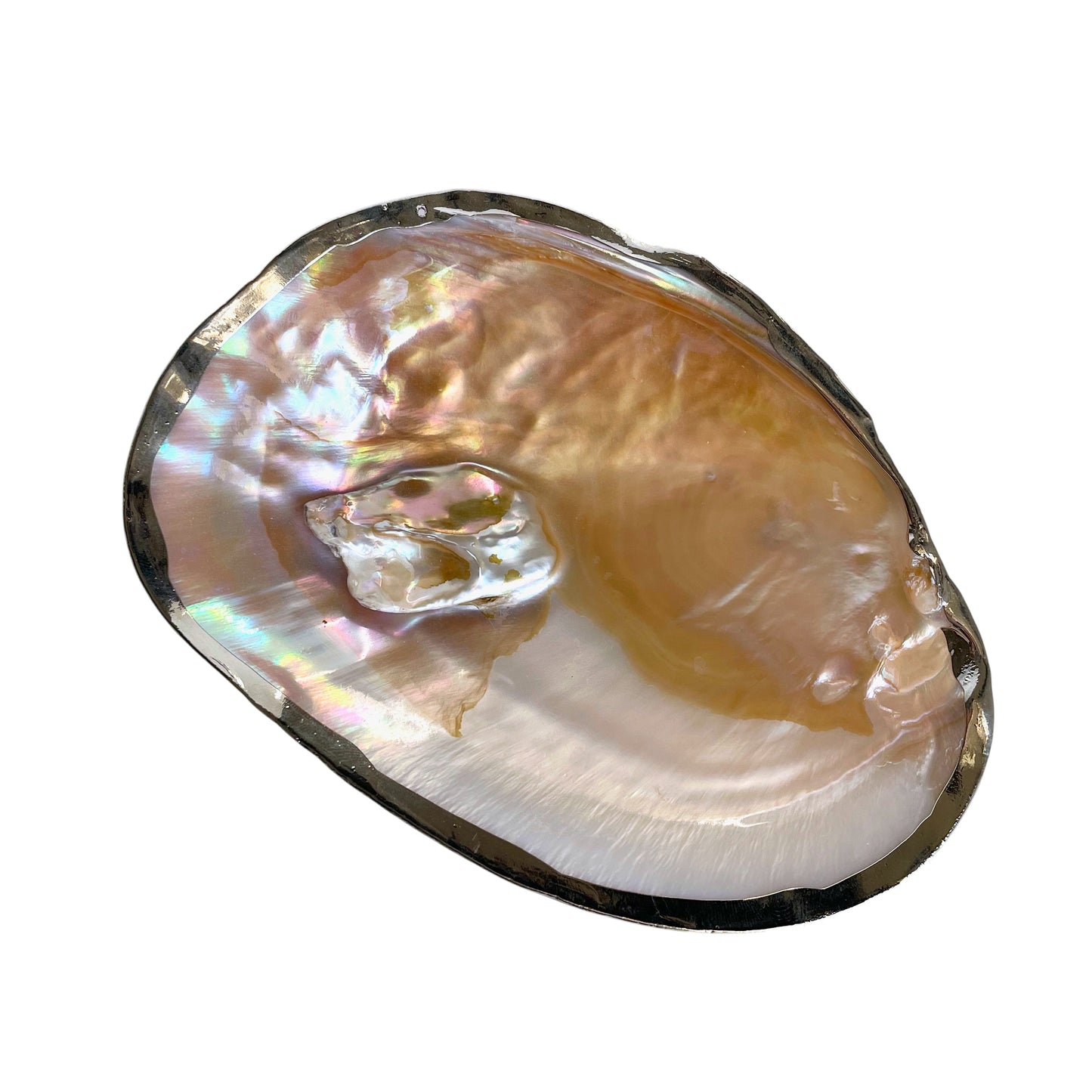 Muschel Schale Chrome